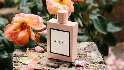 notas gucci bloom|gucci bloom longevity.